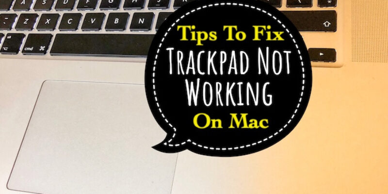Fix MacBook Trackpad Not Working after tahoe 26 Update