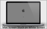 Fix Mac Blank White Screen issue on Mac Sequoia/Sonoma