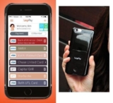 Difference between apple pay and loopPay: Define