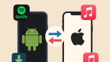 Best Playlist Transfer Apps for iPhone & Android (2026 Picks)
