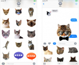 Best iMessage Cat Sticker Apps for iPhone of 2026