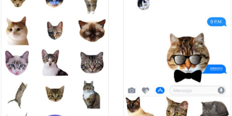 Best iMessage Cat Sticker Apps for iPhone of 2026