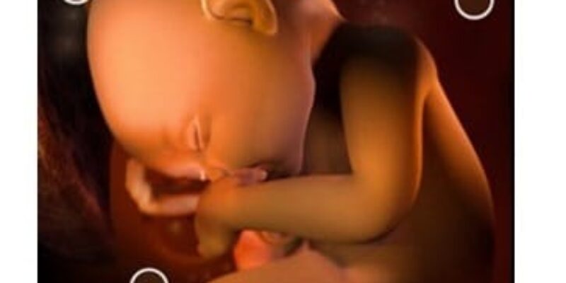 Best pregnancy apps for iPhone and iPad in 2026