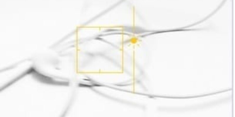 How to Adjust Exposure in the iPhone Camera App: Increase Camera Brightness to solve dark picture