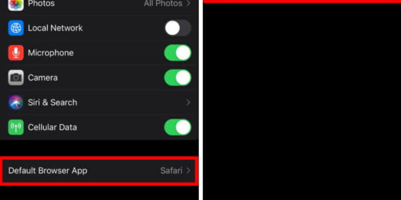 How do I change the Default Browser on my iPhone, iPad?