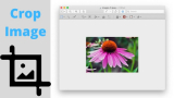 How to Crop Image in Preview on Mac Tahoe