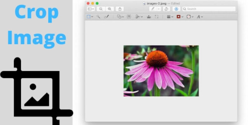 How to Crop Image in Preview on Mac Tahoe