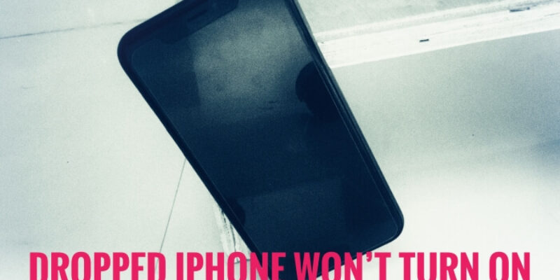 Dropped iPhone 12 Black Screen But Not Cracked