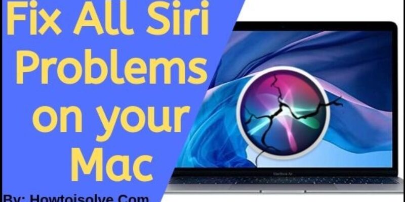 8 Fixes Siri Not Working on Mac Taheo