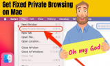 Fixed Safari Private Browsing Greyed Out on Mac (tahoe Added)
