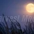 Harvest Moon vs Supermoon: What’s the Difference and Why It Matters