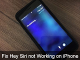17 Fix Hey Siri Not Working on iPhone 16 Pro Max (Video Guide)