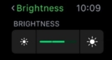 How to Change Apple Watch Screen Brightness (WatchOS 11)