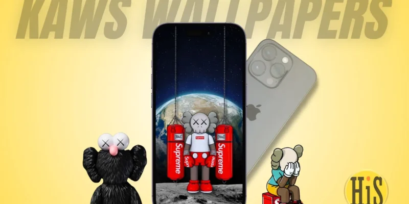 Best Kaws Wallpapers for iPhone in 2026