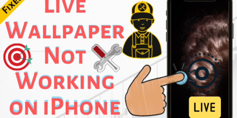 Fix Live Wallpapers Not Working on iPhone (iOS 26)
