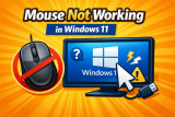 Mouse Not Working in Windows 11 (Complete Troubleshooting Guide)