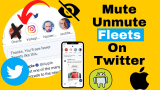 How to Mute/ Unmute or Hide/Unhide Fleets on Twitter iPhone, iPad