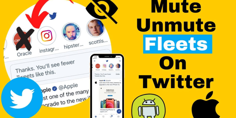 How to Mute/ Unmute or Hide/Unhide Fleets on Twitter iPhone, iPad