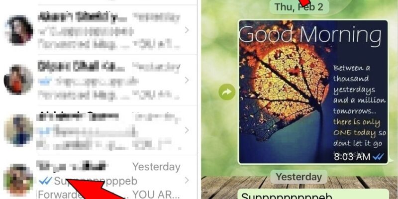 How to stop Whatsapp saving pictures to Photos App Gallery on iPhone
