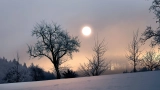 Shortest Day of the Year 2026 — Meaning, Date, Daylight Hours & Why It Matters