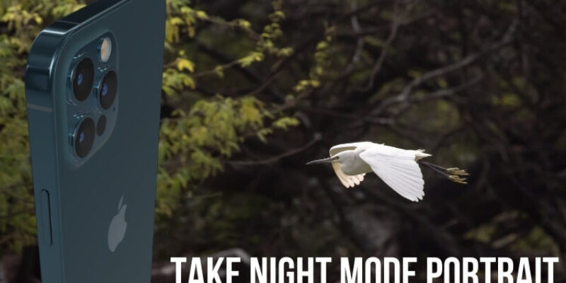 How to Take Night Mode Portrait on iPhone 15 Pro, 14