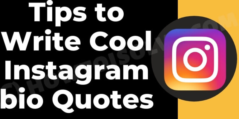 What Consists Of The Most Clickable Bios On Instagram 2026?