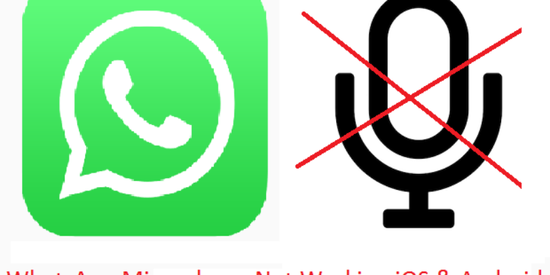 9 Fixes WhatsApp Microphone Not Working on iPhone and Android
