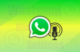 How to Enable Disable Microphone to WhatsApp on iPhone