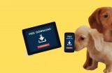 Best Chihuahua Wallpaper for iPhone, Android, iPad & Tab in 2026