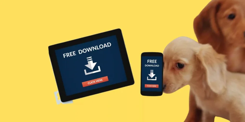 Best Chihuahua Wallpaper for iPhone, Android, iPad & Tab in 2026