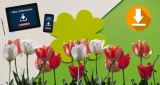 15 Free Best Flower Wallpapers For iPhone in 2026 (HD & 4K)