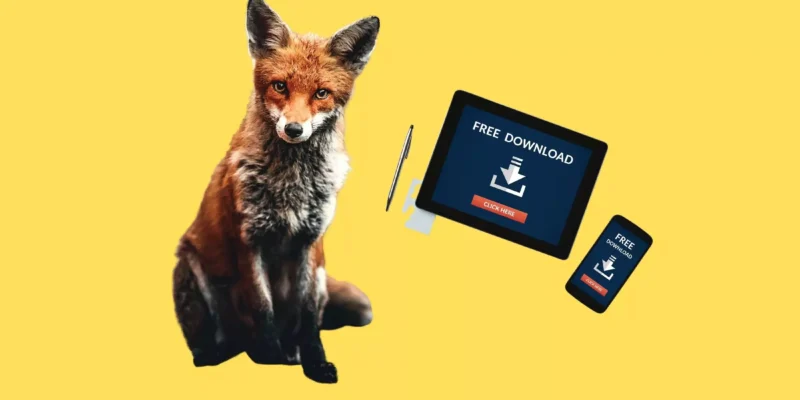 Best Free Fox Wallpapers for iPhone, iPad, Android in 2026