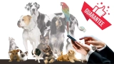 Top 10 iPhone Apps Every Pet Lover Needs in 2026