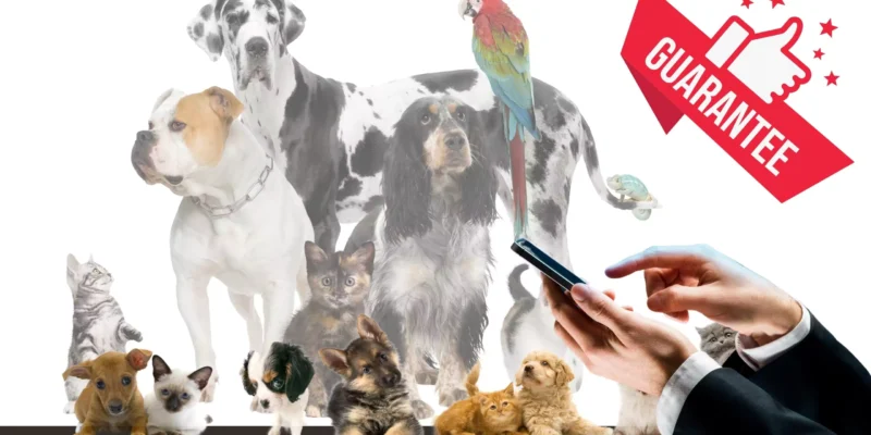 Top 10 iPhone Apps Every Pet Lover Needs in 2026