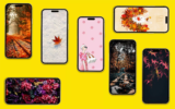 17 Best Free Fall iPhone Wallpapers of 2026
