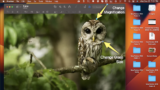 How to Use Magnifying Glass in Preview to Zoom Into Image Detail on Mac