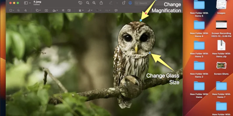 How to Use Magnifying Glass in Preview to Zoom Into Image Detail on Mac