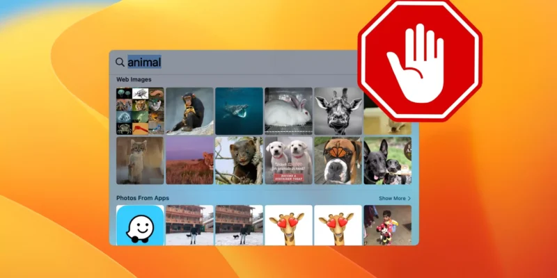 How to Disable Image Search on Mac Spotlight (Sequoia/Sonoma)