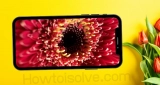 How To Use Macro Mode on iPhone 13 Pro Max