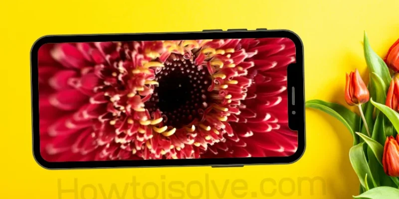 How To Use Macro Mode on iPhone 13 Pro Max