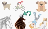 How to Use AirTag to Dog Collar & Harness, Cat & Horse, Other Essentials