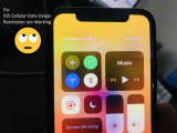 Fix iPhone Parental Controls for Cellular data Not Working iOS