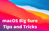 12 Best macOS Big Sur Tips and Tricks That You Must Know!