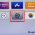 How to Clear History on iPhone, and iPad in 2025