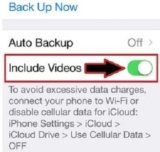 Want to Take backup WhatsApp Video on iPhone, iPad