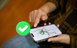 11 Fix WhatsApp keeps crashing on iPhone 16, 15 (iOS 26)
